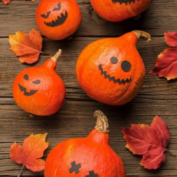 Změna provozní doby z důvodu STÁTNÍHO SVÁTKU 28.10.2026